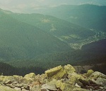 Seliniel